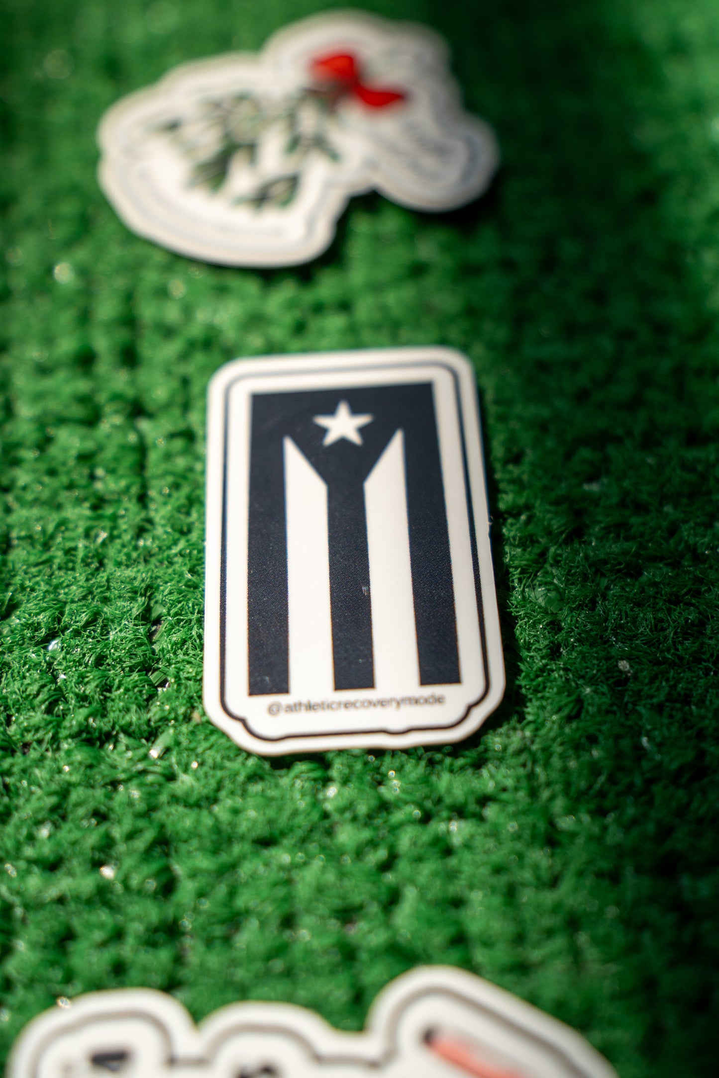 Black and white PR flag sticker