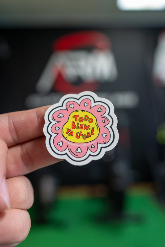 Sticker “Todo bien, ya lloré”